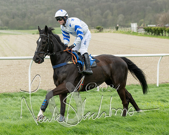 Race 2 - Six and Over Maiden  (68 of 131)