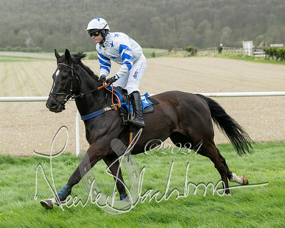 Race 2 - Six and Over Maiden  (69 of 131)