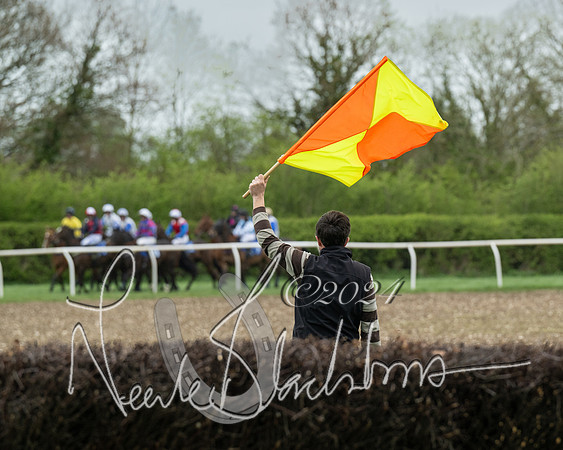 Race 2 - Six and Over Maiden  (74 of 131)