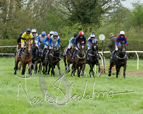 Race 2 - Six and Over Maiden  (76 of 131)