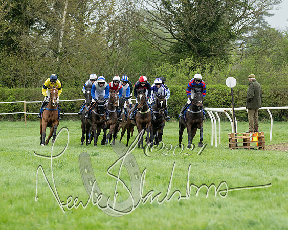 Race 2 - Six and Over Maiden  (75 of 131)