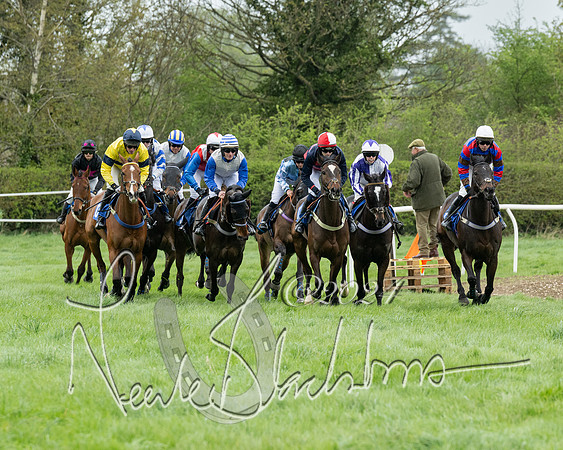 Race 2 - Six and Over Maiden  (77 of 131)