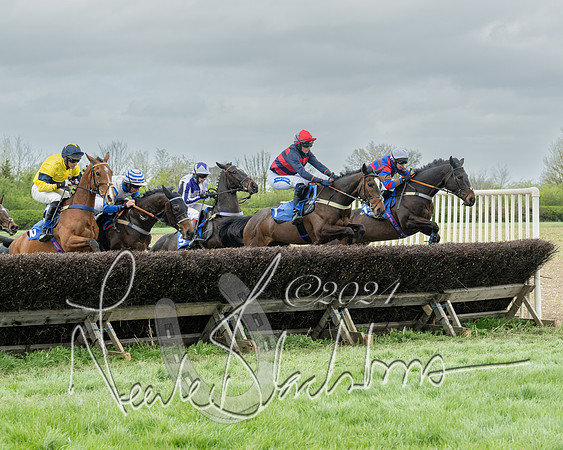 Race 2 - Six and Over Maiden  (78 of 131)