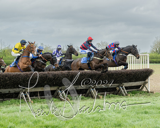 Race 2 - Six and Over Maiden  (79 of 131)