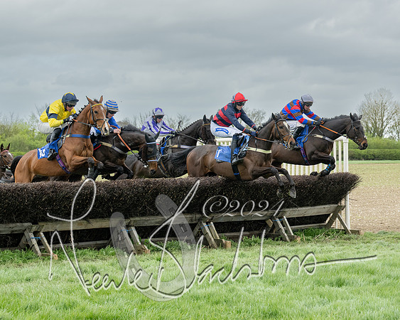 Race 2 - Six and Over Maiden  (80 of 131)