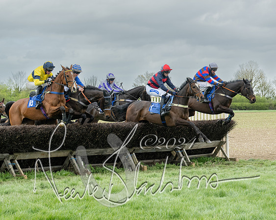 Race 2 - Six and Over Maiden  (81 of 131)