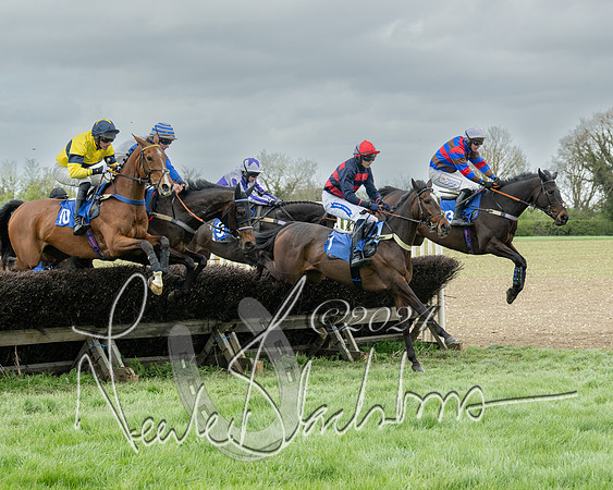 Race 2 - Six and Over Maiden  (82 of 131)