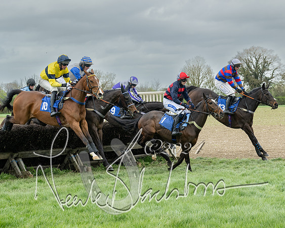 Race 2 - Six and Over Maiden  (85 of 131)