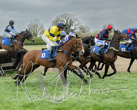 Race 2 - Six and Over Maiden  (86 of 131)-2