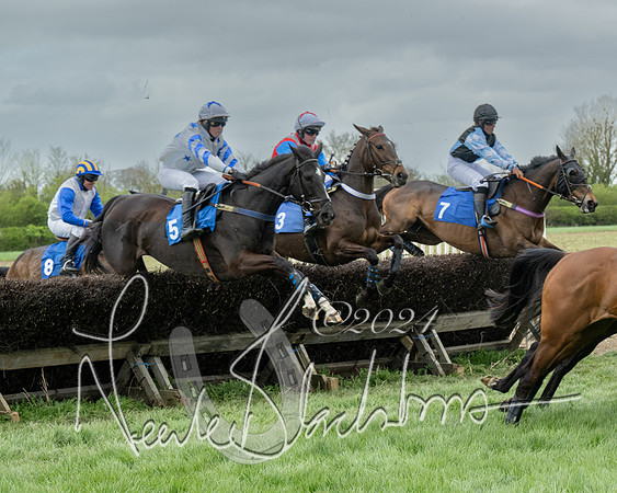 Race 2 - Six and Over Maiden  (86 of 131)