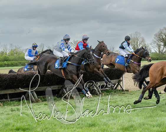 Race 2 - Six and Over Maiden  (87 of 131)