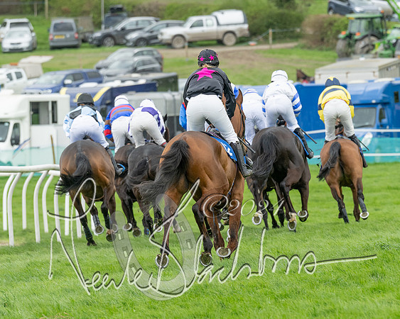 Race 2 - Six and Over Maiden  (88 of 131)