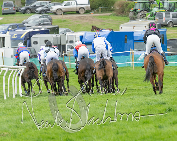 Race 2 - Six and Over Maiden  (90 of 131)