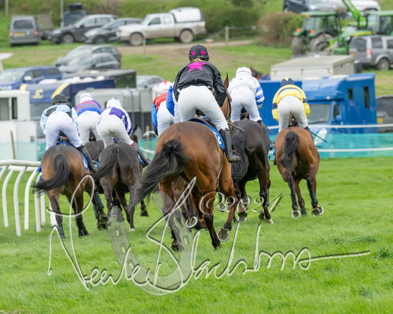 Race 2 - Six and Over Maiden  (89 of 131)