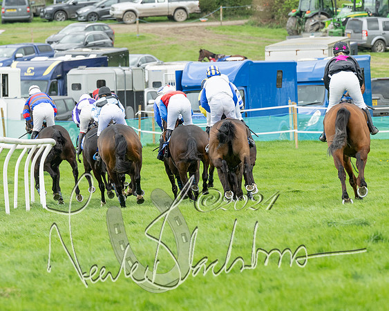 Race 2 - Six and Over Maiden  (91 of 131)