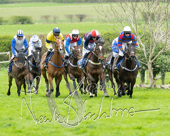 Race 2 - Six and Over Maiden  (92 of 131)