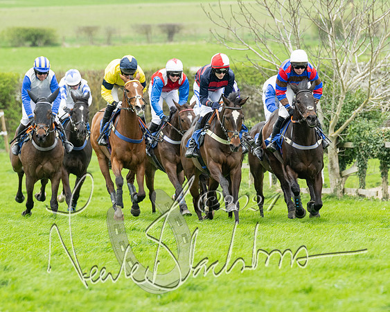 Race 2 - Six and Over Maiden  (93 of 131)