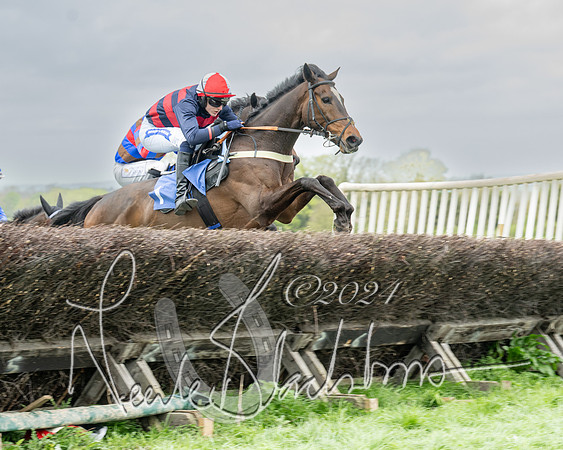 Race 2 - Six and Over Maiden  (95 of 131)