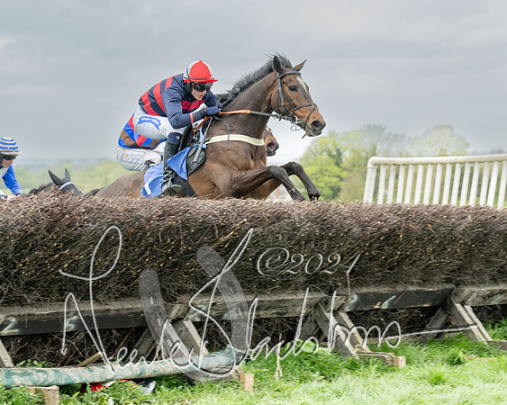 Race 2 - Six and Over Maiden  (94 of 131)