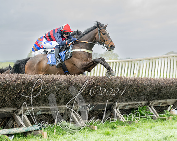Race 2 - Six and Over Maiden  (96 of 131)