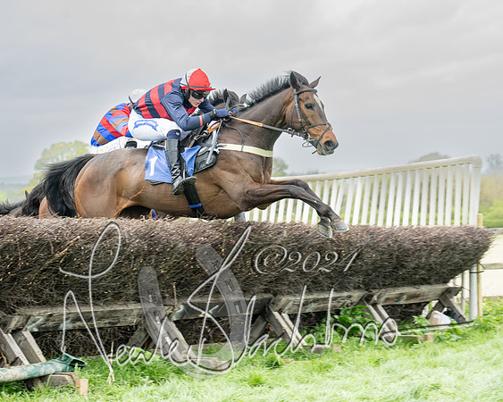 Race 2 - Six and Over Maiden  (97 of 131)