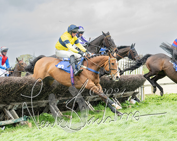 Race 2 - Six and Over Maiden  (99 of 131)