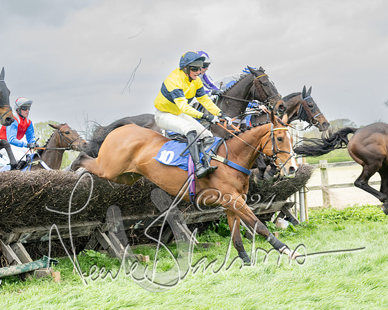 Race 2 - Six and Over Maiden  (100 of 131)