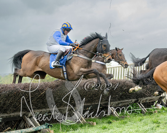 Race 2 - Six and Over Maiden  (101 of 131)