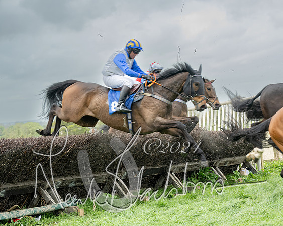 Race 2 - Six and Over Maiden  (102 of 131)