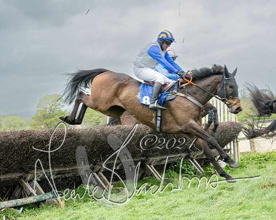 Race 2 - Six and Over Maiden  (103 of 131)