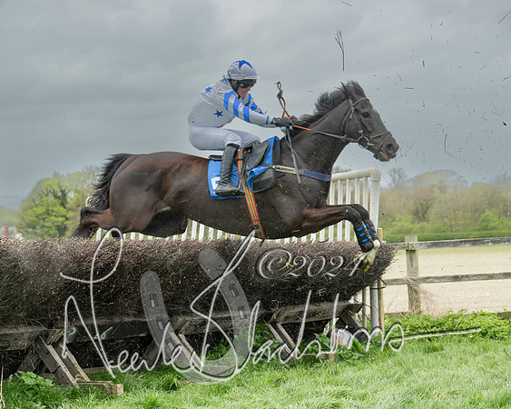 Race 2 - Six and Over Maiden  (106 of 131)