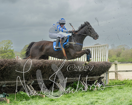 Race 2 - Six and Over Maiden  (105 of 131)