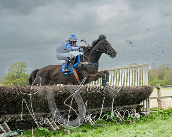 Race 2 - Six and Over Maiden  (104 of 131)