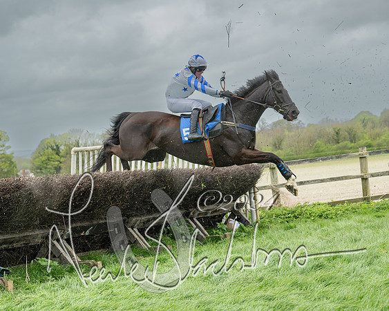 Race 2 - Six and Over Maiden  (107 of 131)