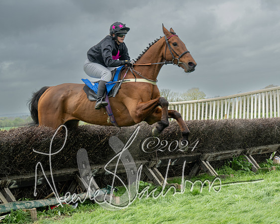 Race 2 - Six and Over Maiden  (108 of 131)