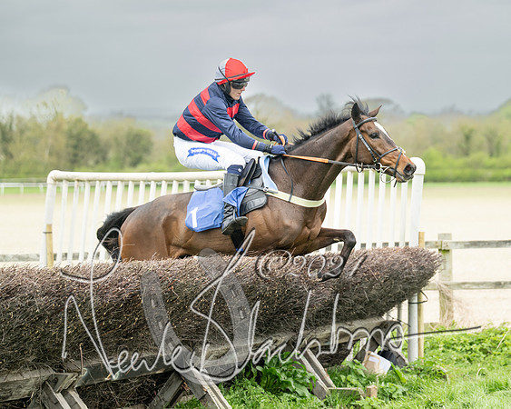 Race 2 - Six and Over Maiden  (109 of 131)