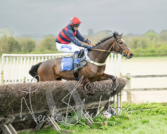 Race 2 - Six and Over Maiden  (110 of 131)