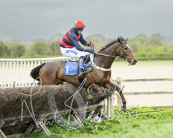 Race 2 - Six and Over Maiden  (111 of 131)
