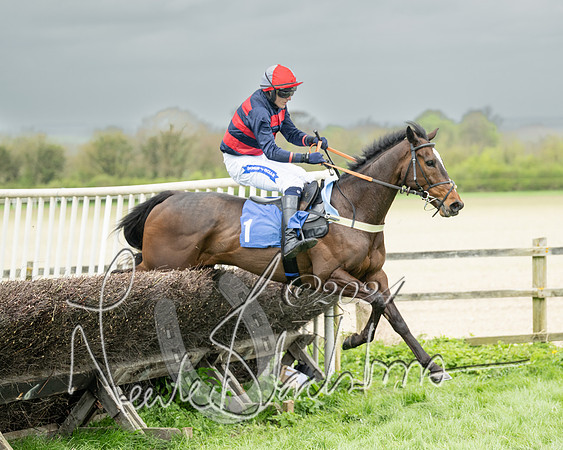Race 2 - Six and Over Maiden  (112 of 131)