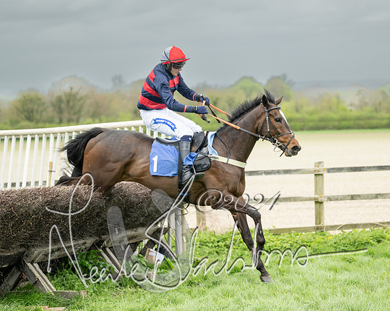 Race 2 - Six and Over Maiden  (113 of 131)