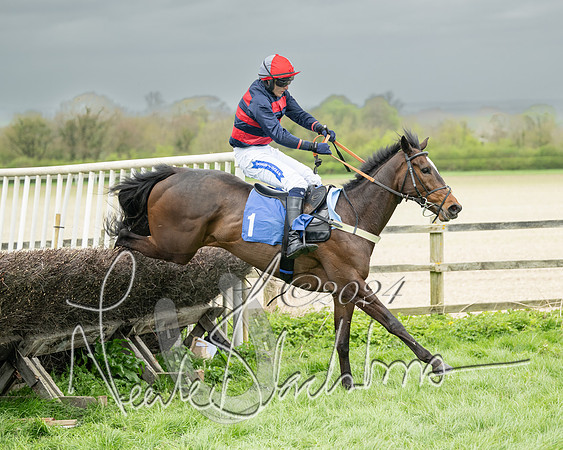Race 2 - Six and Over Maiden  (114 of 131)