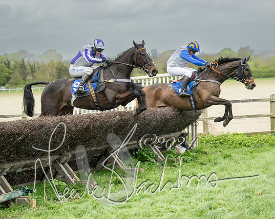 Race 2 - Six and Over Maiden  (115 of 131)