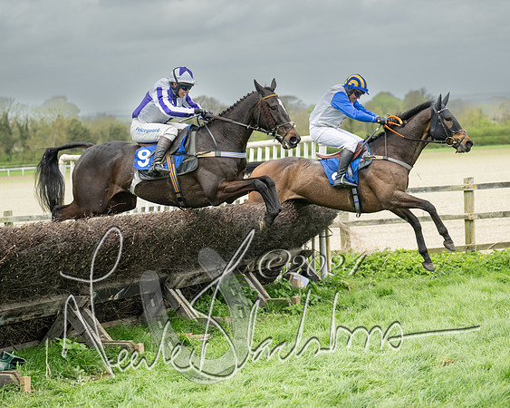 Race 2 - Six and Over Maiden  (116 of 131)