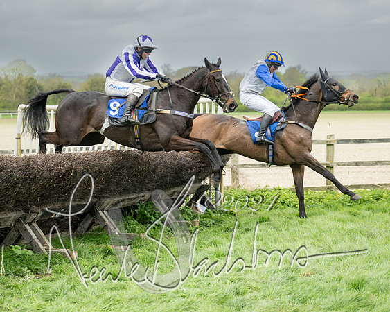 Race 2 - Six and Over Maiden  (117 of 131)