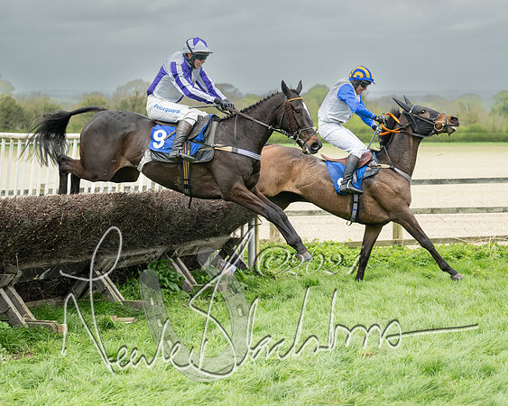 Race 2 - Six and Over Maiden  (118 of 131)