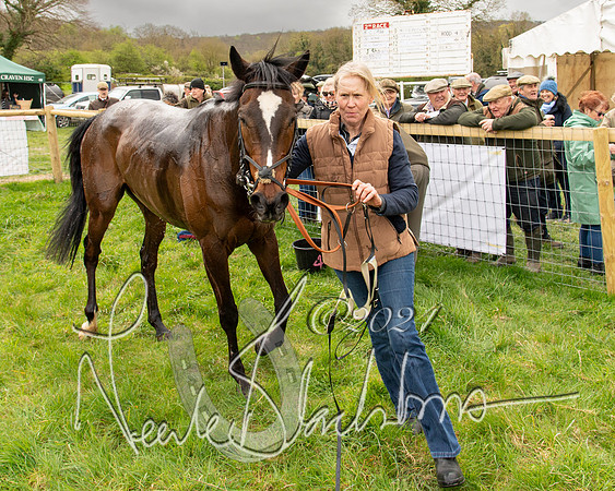 Race 2 - Six and Over Maiden  (125 of 131)