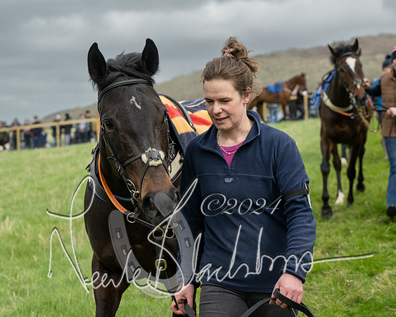 Race 2 - Six and Over Maiden  (15 of 131)
