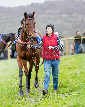 Race 3 - Jockey club ROR Veteran Horse Condidtions  (2 of 118)