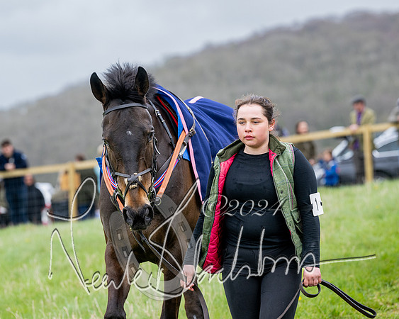 Race 3 - Jockey club ROR Veteran Horse Condidtions  (8 of 118)