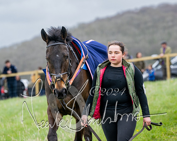 Race 3 - Jockey club ROR Veteran Horse Condidtions  (9 of 118)